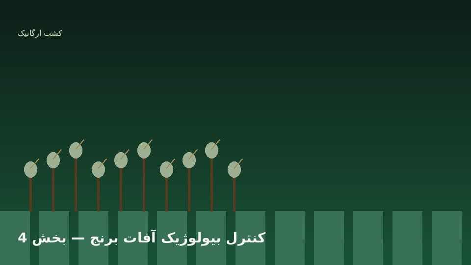 یکپارچه‌سازی مدیریت آفات با برنامه تولید و انبار