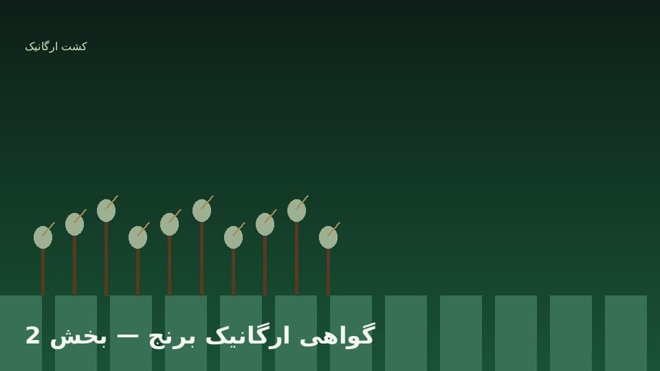 گواهی‌دهنده ملی و بین‌المللی