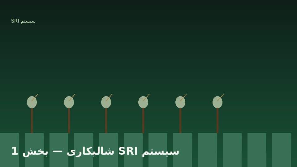 اصول سیستم تولید یکپارچه برنج